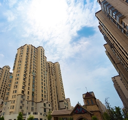 清华大溪地